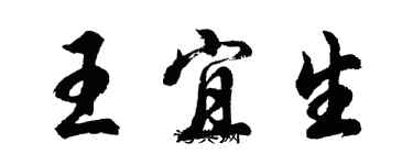 胡問遂王宜生行書個性簽名怎么寫