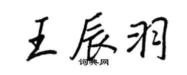 王正良王辰羽行書個性簽名怎么寫