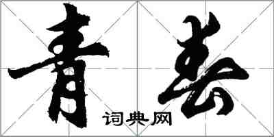 胡問遂青春行書怎么寫