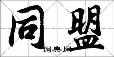 胡問遂同盟行書怎么寫