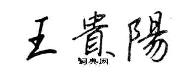 王正良王貴陽行書個性簽名怎么寫