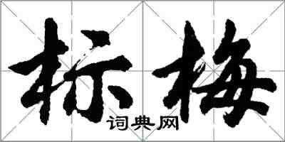 胡問遂標梅行書怎么寫