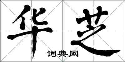 翁闓運華芝楷書怎么寫