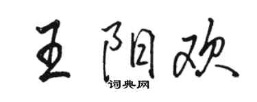 駱恆光王陽歡行書個性簽名怎么寫