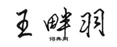 駱恆光王畔羽行書個性簽名怎么寫