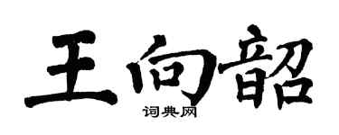 翁闓運王向韶楷書個性簽名怎么寫