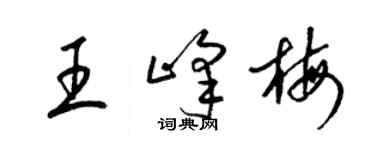 梁錦英王峰梅草書個性簽名怎么寫