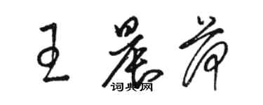 駱恆光王晨荷草書個性簽名怎么寫