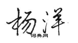 駱恆光楊洋行書個性簽名怎么寫