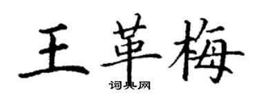 丁謙王革梅楷書個性簽名怎么寫