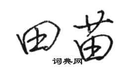 駱恆光田苗行書個性簽名怎么寫