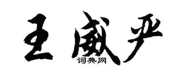 胡問遂王威嚴行書個性簽名怎么寫