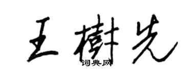 王正良王樹先行書個性簽名怎么寫