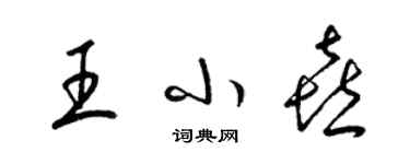 梁錦英王小喜草書個性簽名怎么寫