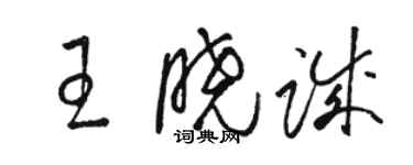 駱恆光王曉誠草書個性簽名怎么寫