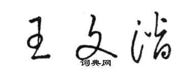 駱恆光王文潛草書個性簽名怎么寫