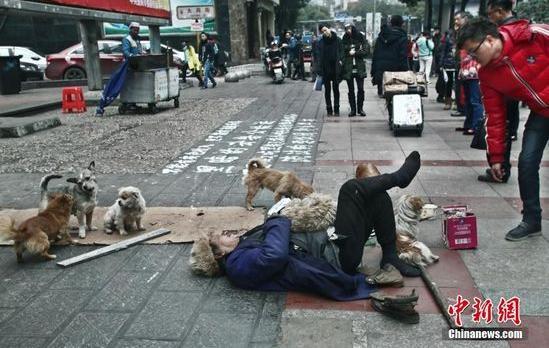 七旬老人組建“流浪狗要飯糰”呼籲保護流浪狗