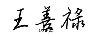 王正良王善祿行書個性簽名怎么寫