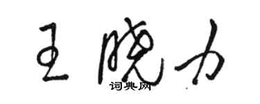 駱恆光王曉力草書個性簽名怎么寫