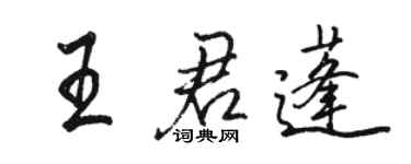 駱恆光王君蓬行書個性簽名怎么寫