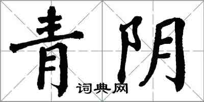 翁闓運青陰楷書怎么寫