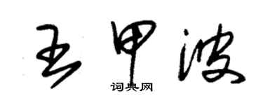 朱錫榮王甲波草書個性簽名怎么寫