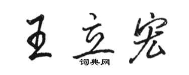 駱恆光王立宏行書個性簽名怎么寫