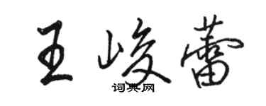 駱恆光王峻蕾行書個性簽名怎么寫