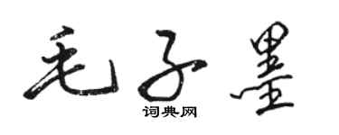 駱恆光毛子墨行書個性簽名怎么寫