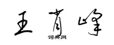 梁錦英王肖峰草書個性簽名怎么寫