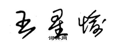 朱錫榮王星愉草書個性簽名怎么寫