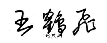 朱錫榮王鶴飛草書個性簽名怎么寫