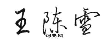 駱恆光王陳雪行書個性簽名怎么寫