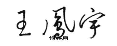 駱恆光王鳳宇草書個性簽名怎么寫