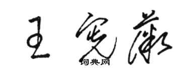 駱恆光王憲薇草書個性簽名怎么寫