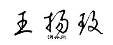 梁錦英王揚玫草書個性簽名怎么寫