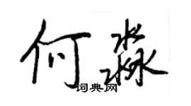 王正良何淼行書個性簽名怎么寫