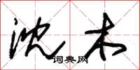 朱錫榮沈木草書怎么寫