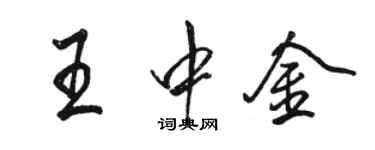 駱恆光王中金行書個性簽名怎么寫