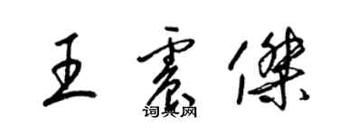 梁錦英王震傑草書個性簽名怎么寫