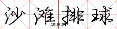 龐中華沙灘排球行書怎么寫