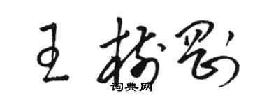 駱恆光王樹剛草書個性簽名怎么寫