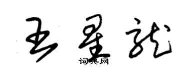 朱錫榮王星龍草書個性簽名怎么寫