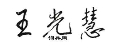 駱恆光王光慧行書個性簽名怎么寫