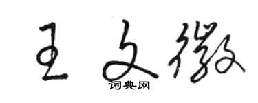 駱恆光王文徽草書個性簽名怎么寫