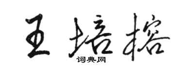 駱恆光王培榕行書個性簽名怎么寫
