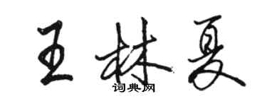 駱恆光王林夏行書個性簽名怎么寫