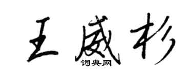 王正良王威杉行書個性簽名怎么寫