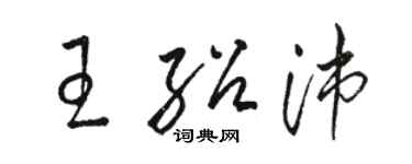 駱恆光王紹沛草書個性簽名怎么寫