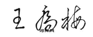 駱恆光王喬梅草書個性簽名怎么寫